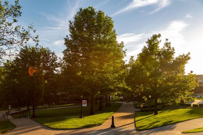 Summer trees looking into Johnson Commons