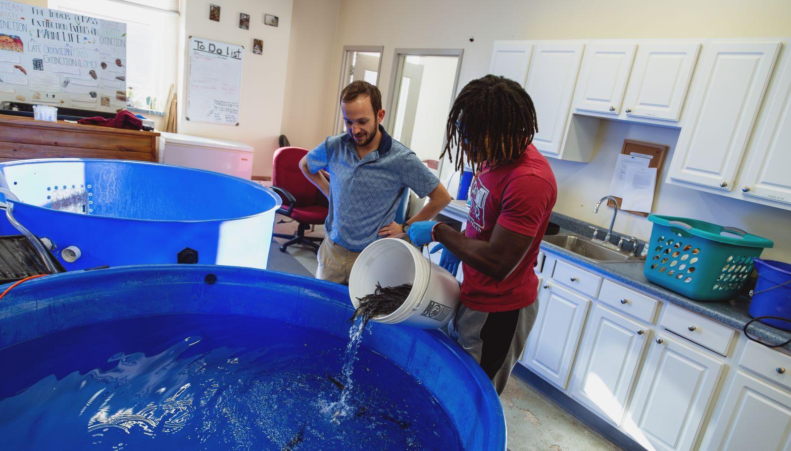 Dr. Hayes and a student dump catfish into a holding tank