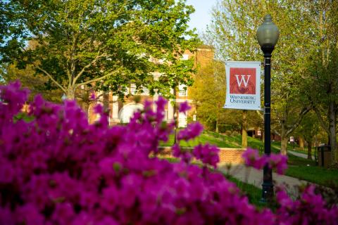 Spring flowers overlooking the Stover Center Building