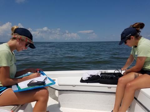 Kat (left) helped identify bottlenose dolphins this summer