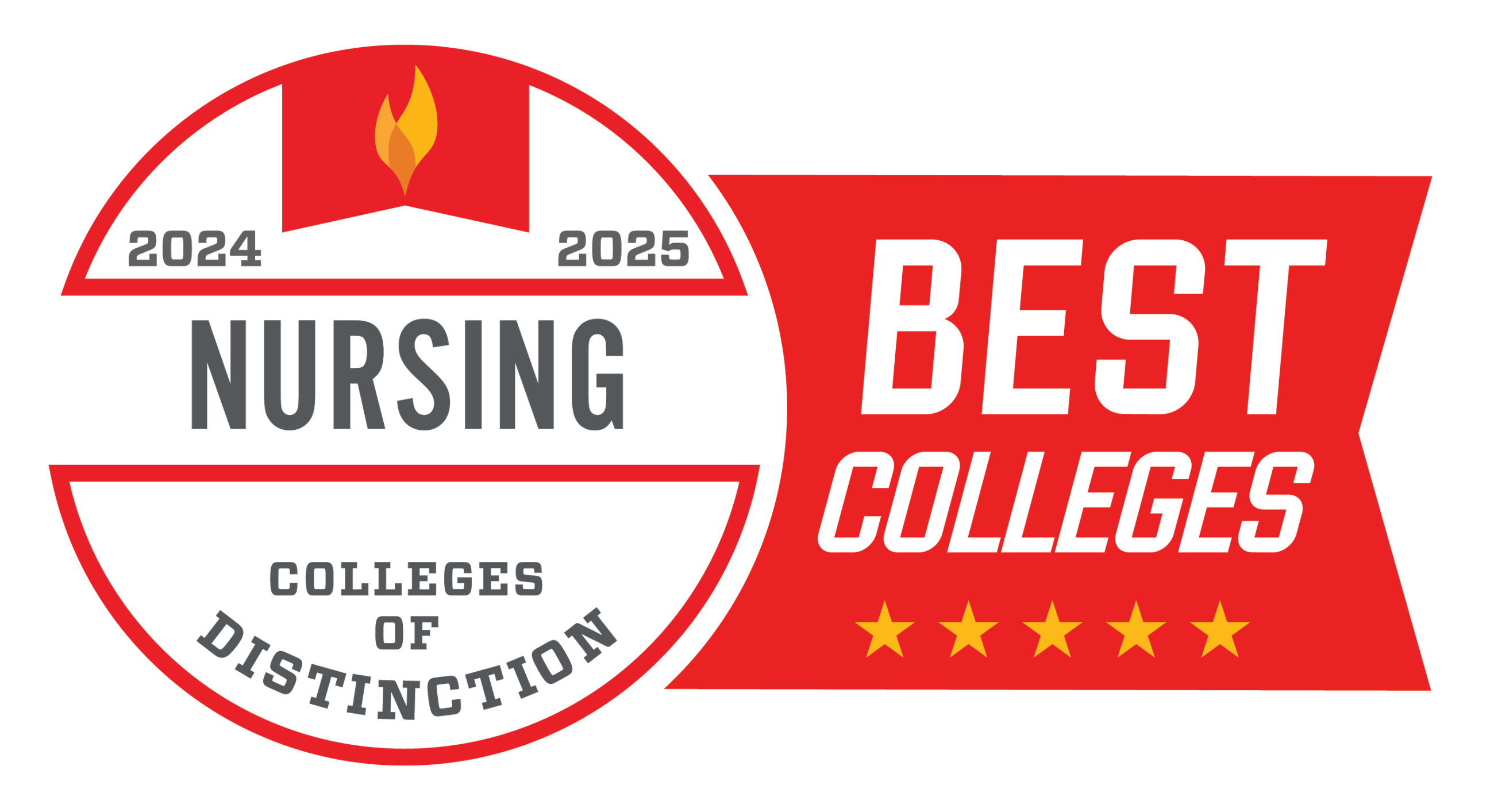 2024-2025 Colleges of Distinction Nursing badge