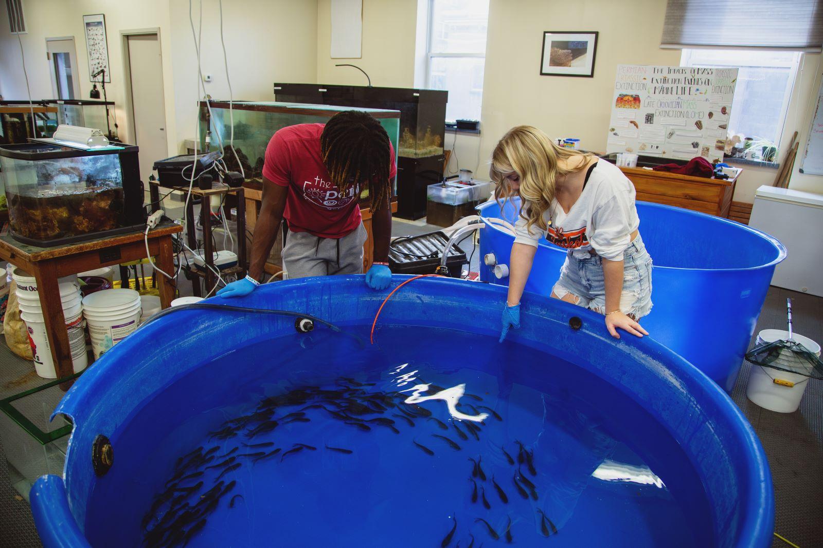 Marine Biology students examine catfish