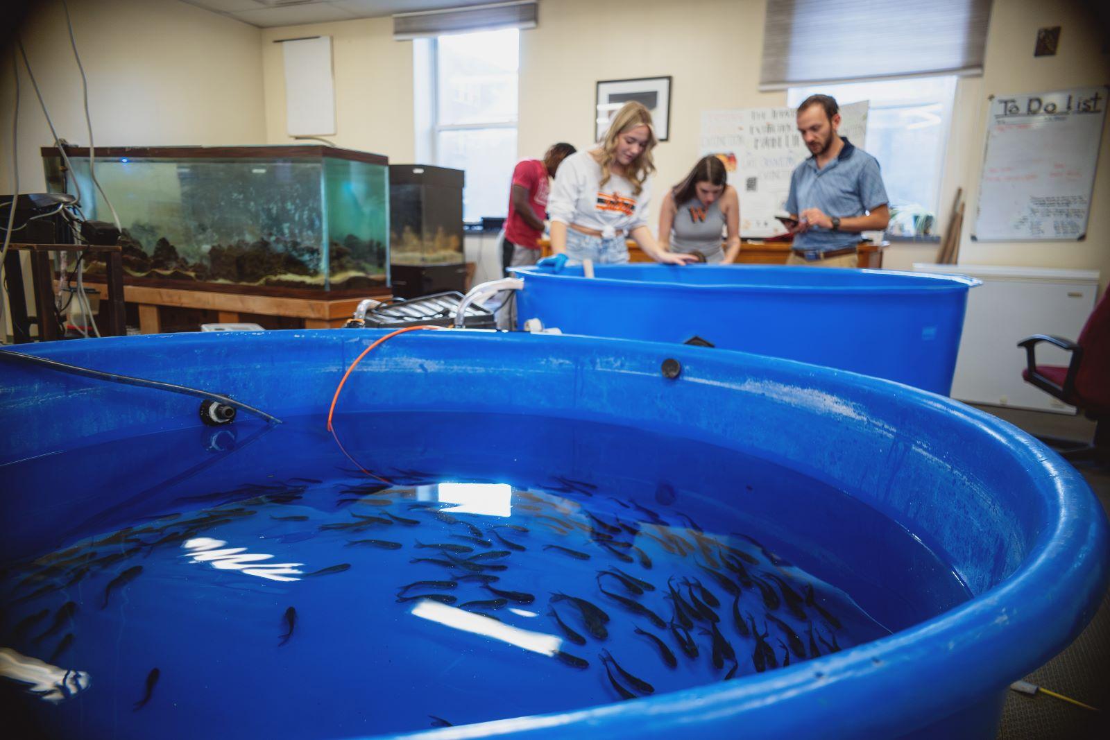 Dr. Hayes and Marine Biology students  conduct tests after catfish arrival