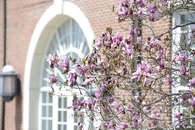 spring on campus