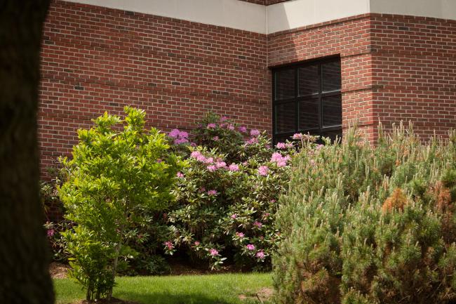 GPAC in the spring