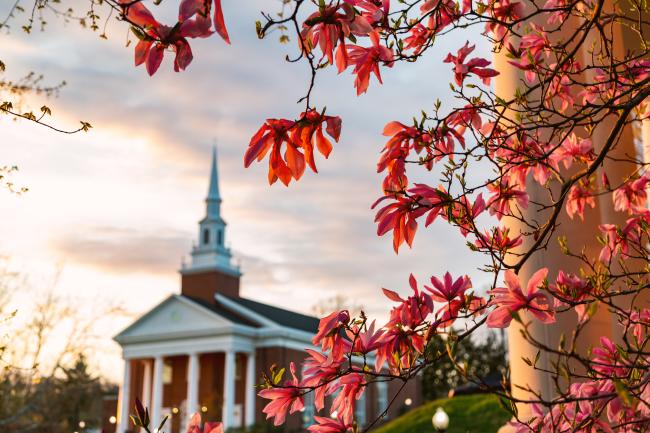 Image of Roberts Chapel with spring blossoms