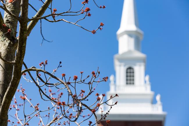 A blooming tree with pink buds stands in front of a slightly blurred Robert's Chapel.