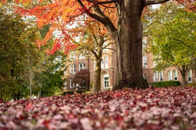 Image of autumn leaves surrounding the historic Miller Hall