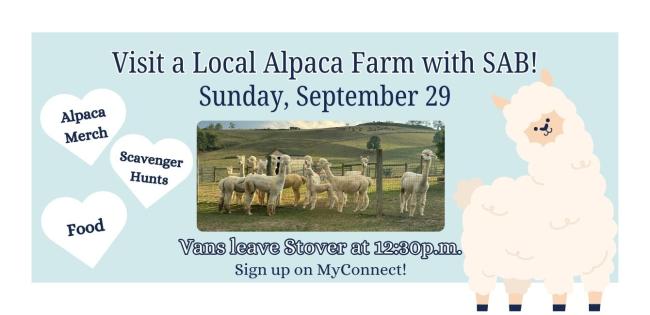 Advertisement for visit to alpaca farm with photos of alpacas