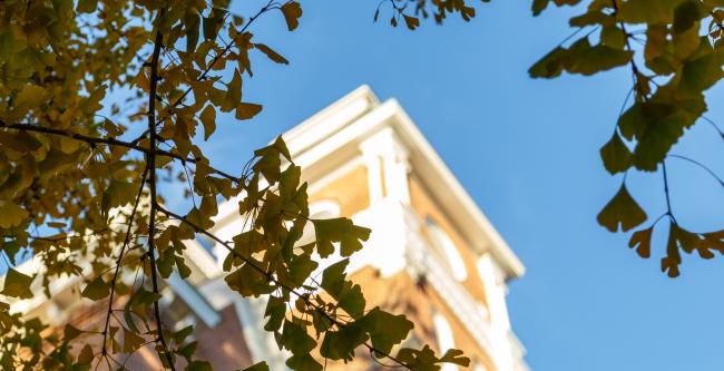 Top of Miller Hall with fall leaves in the foreground of the image.