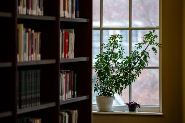 Plants on a window sill next to a stack of books in Eberly Library