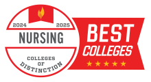 2024-2025 Colleges of Distinction Nursing badge